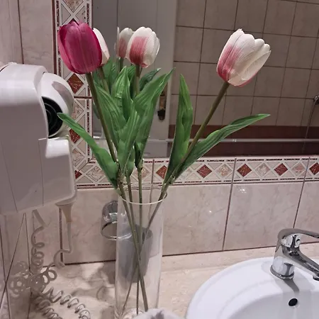 Spyridoula 12 パレオカストリッツア